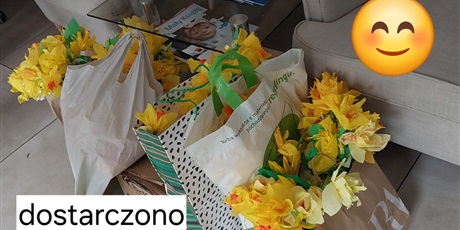 Powiększ grafikę: akcja-zonkil-689518.jpg