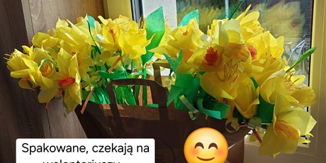 Powiększ grafikę: akcja-zonkil-689519.jpg