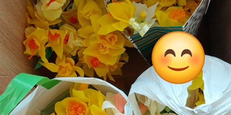 Powiększ grafikę: akcja-zonkil-689520.jpg