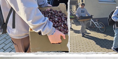 Powiększ grafikę: dzien-kasztana-wspolnie-z-ekopatrolami-643649.jpg