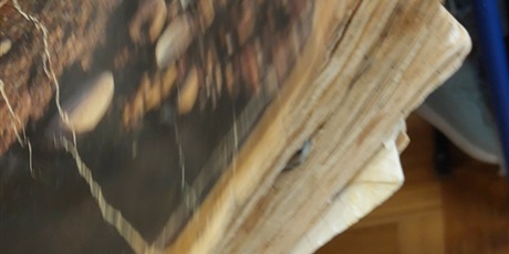 Powiększ grafikę: pamiatki-rodzinne-na-lekcjach-historii-646730.jpg