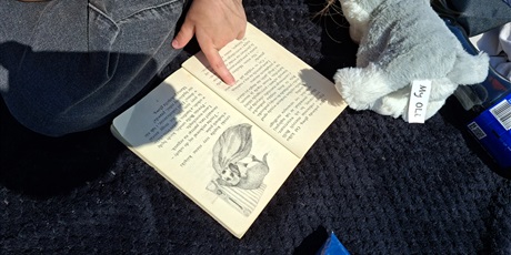 Powiększ grafikę: piknik-z-ksiazka-698866.jpg
