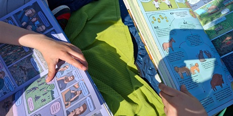 Powiększ grafikę: piknik-z-ksiazka-698869.jpg