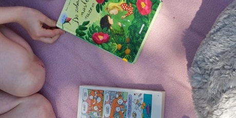 Powiększ grafikę: piknik-z-ksiazka-698870.jpg