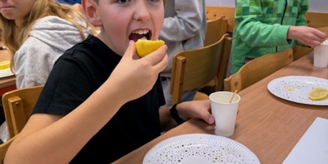 Powiększ grafikę: warsztaty-kulinarne-655057.jpg