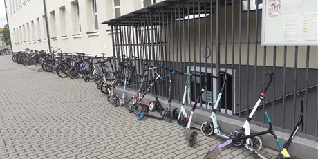 Powiększ grafikę: JEDNOŚLADEM PRZEZ ŚWIAT