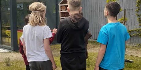 Powiększ grafikę: OBSERWACJA OWADÓW ZAPYLAJĄCYCH
