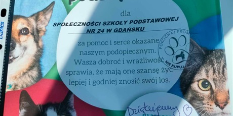 Powiększ grafikę: W EKOSZKOLE  DZIAŁAMY- ZWIERZĘTOM POMAGAMY